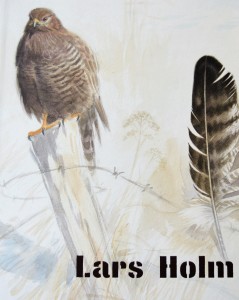 hök2 (2)